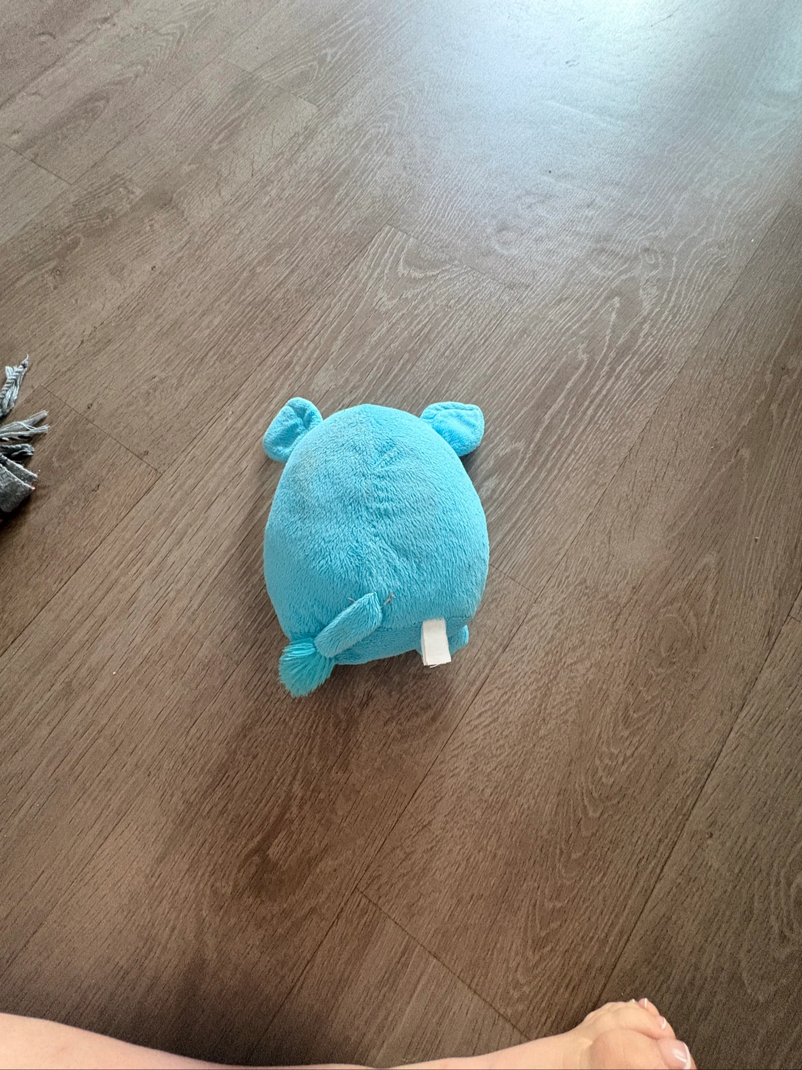 Peluche – photo 2